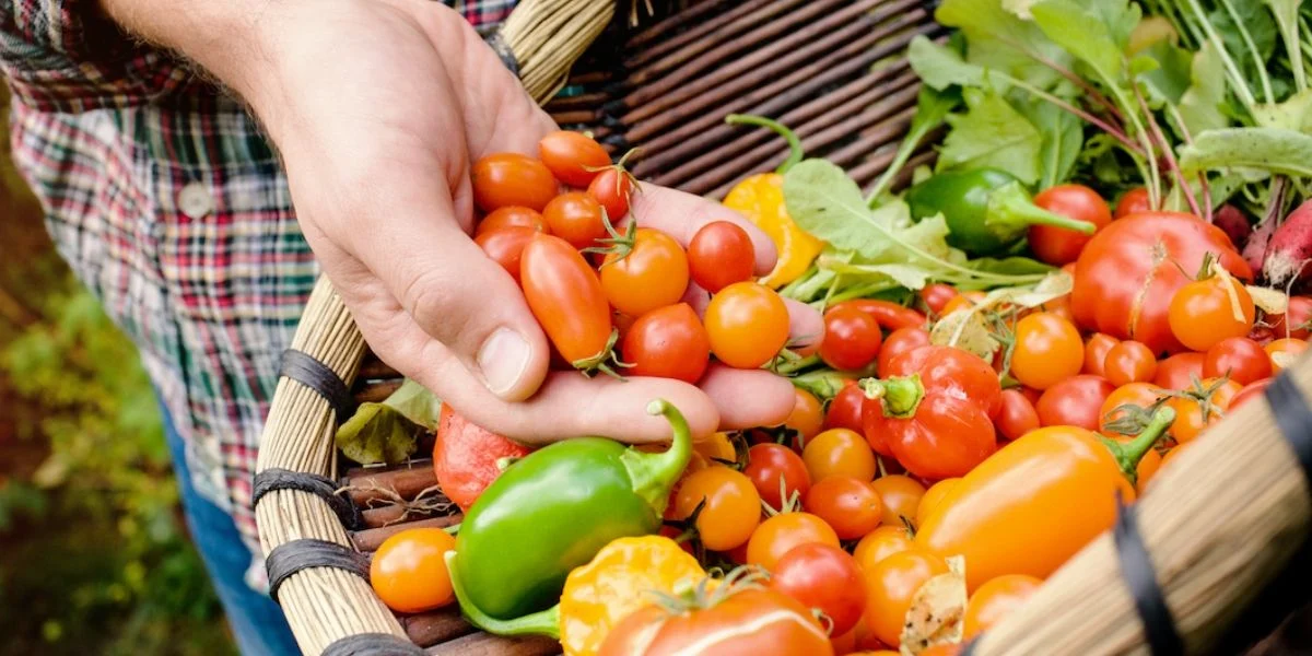 OrganicFarmBillShare_1