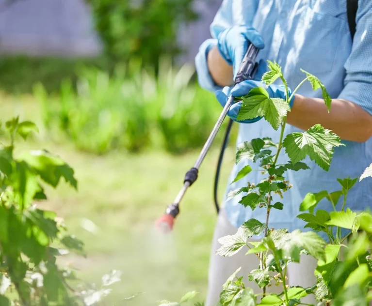 When crops show signs of nutrient stress, timing matters. Waiting for root-applied fertilizers to take effect isn't always fast enough — especially during critical growth stages like flowering or fruiting. That's where foliar feeding comes in, and it's one of the most effective tools in a grower's toolkit.