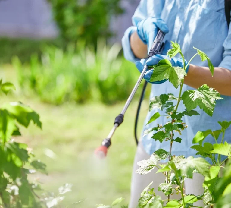 When crops show signs of nutrient stress, timing matters. Waiting for root-applied fertilizers to take effect isn't always fast enough — especially during critical growth stages like flowering or fruiting. That's where foliar feeding comes in, and it's one of the most effective tools in a grower's toolkit.