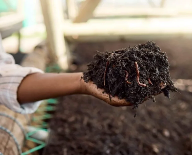 For decades, conventional farming has leaned heavily on synthetic fertilizers to boost yields quickly. But this short-term approach comes at a long-term cost: depleted soil, reduced microbial activity, and diminishing returns season after season. At Martnege International Suppliers, we believe it's time growers rethink what "feeding the soil" really means.