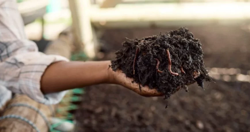 For decades, conventional farming has leaned heavily on synthetic fertilizers to boost yields quickly. But this short-term approach comes at a long-term cost: depleted soil, reduced microbial activity, and diminishing returns season after season. At Martnege International Suppliers, we believe it's time growers rethink what "feeding the soil" really means.