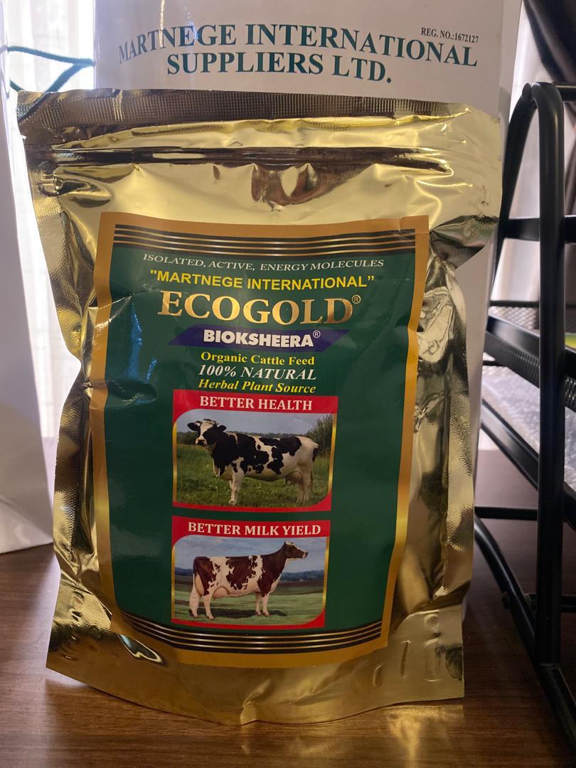 “ECOGOLD’ BIOKSHEERA composition induces production of Nitric Oxide(NO) from endothelial cells of animal.